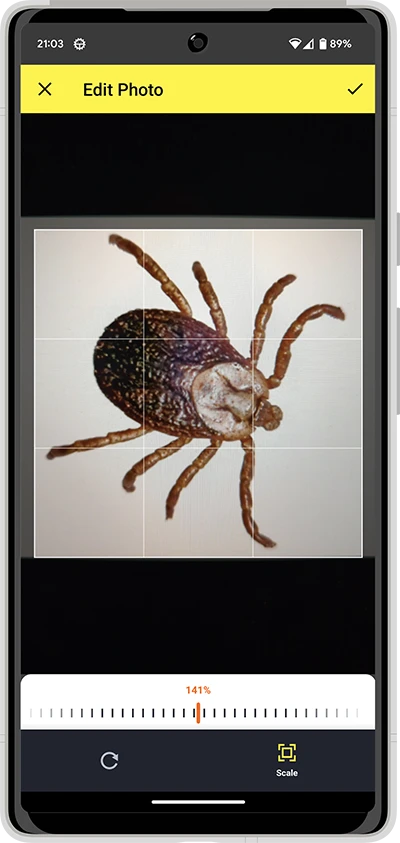 Screenshot of the Tickit app